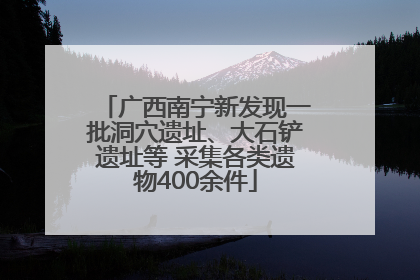 广西南宁新发现一批洞穴遗址、大石铲遗址等 采集各类遗物400余件